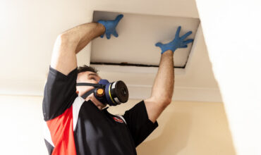 Helpful Tips To Find The Best And Safest Perth Pest Control