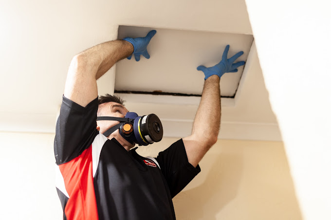 Helpful Tips To Find The Best And Safest Perth Pest Control